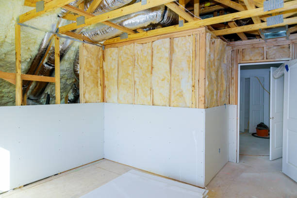 Best Eco-Friendly Insulation in Muscoda, WI